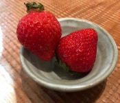 あーてぃちょーくさんが投稿したキャンベル・アーリー（福岡/博多）の口コミ詳細 [食べログ] キャンベル・アーリー