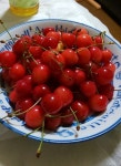 蛙の親分さんが投稿したよってけポポラ（山形/天童）の口コミ詳細 [食べログ] よってけポポラ