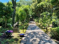 ピンクサファイア♪さんが投稿したスターバックスコーヒー よみうりランドHANA・BIYORI店（東京/京王よみうりランド）の口コミ詳細... 