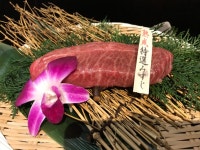 エルまささんが投稿した但馬屋 千里（大阪/桃山台）の口コミ詳細 [食べログ] 但馬屋 千里