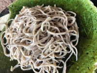 eleproさんが投稿した吟八亭 やざ和（東京/亀有）の口コミ詳細 [食べログ] 吟八亭 やざ和