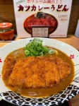 jnglogさんが投稿した極楽うどん TKU ルクア大阪店（大阪/北新地）の口コミ詳細 [食べログ] 極楽うどん TKU ルクア大阪店