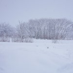 その他写真 : 余市SAGRA （ヨイチサグラ） - 余市/イタリアン | 食べログ 余市SAGRA (余市/イタリアン)