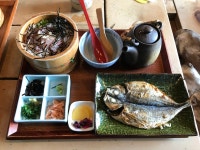 kinako-ankoさんの「行った(口コミ)」お店一覧 [食べログ]