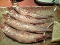 ゲンマイさんさんの「行った(口コミ)」お店一覧 [食べログ]