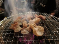 RINZUさんの「行った(口コミ)」お店一覧 [食べログ]