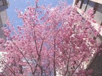 りんりんりりんさんが投稿した神田 炎蔵（東京/秋葉原）の口コミ詳細 [食べログ] 神田 炎蔵