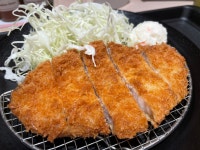 えび(^^)vさんが投稿した松のや 名駅西口店（愛知/名古屋）の口コミ詳細 [食べログ] 松のや 名駅西口店