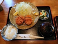 えーあいさんが投稿したとんかつ 山花（新潟/馬下）の口コミ詳細 [食べログ] とんかつ 山花