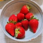 yokopieさんが投稿した九州屋 小田急新宿店（東京/新宿西口）の口コミ詳細 [食べログ] 九州屋 小田急新宿店