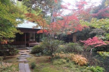 ぷんちさんが投稿した玉泉邸（石川/野町）の口コミ詳細 [食べログ] 玉泉邸