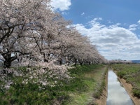 カブカブハーレーさんが投稿した北海道一番（宮城/登米市その他）の口コミ詳細 [食べログ] 北海道一番