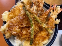 なにがし越前ふくろうさんの「行った(口コミ)」お店一覧 [食べログ]
