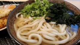 【閉店】こがね製麺所 代々木店 - 代々木/うどん | 食べログ こがね製麺所 代々木店 (代々木/うどん)