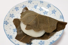 橋本製菓 - 播磨高岡/和菓子 [食べログ] 橋本製菓 (播磨高岡/和菓子)