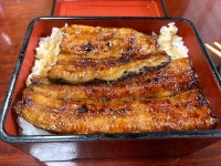 鰻 割烹　仲勢のご予約 - 蒲生/うなぎ | 食べログ 鰻 割烹　仲勢 (蒲生/うなぎ)