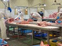 かごしま焼肉ホルモン すだく 霧島国分本店のご予約 - 国分/焼肉 | 食べログ かごしま焼肉ホルモン すだく 霧島国分本店 (国分/焼肉)