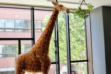 スパマキシマムさんが投稿したラ・ジェント・ステイ 札幌大通（北海道/大通）の口コミ詳細 [食べログ] ラ・ジェント・ステイ 札幌大通