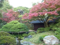 まろんママさんが投稿した虎屋菓寮 京都一条店 （京都/今出川）の口コミ詳細 [食べログ] 虎屋菓寮 京都一条店 