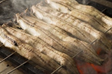 にょろ助 西麻布 - 広尾/うなぎ | 食べログ にょろ助 西麻布 (広尾/うなぎ)