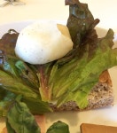 monch312さんが投稿したラヤキヴィ（愛知/金山）の口コミ詳細 [食べログ] ラヤキヴィ