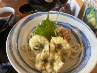 たける９９さんが投稿したうどん忠雅堂（大阪/新家）の口コミ詳細 [食べログ] うどん忠雅堂