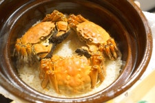 drkckさんが投稿した銀座 しのはら（東京/銀座一丁目）の口コミ詳細 [食べログ] 銀座 しのはら