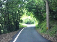 道後らぶらぶさんの「行った(口コミ)」お店一覧 [食べログ]