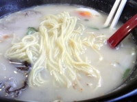 料理写真  : 風風亭 樽味本店 （ふうふうてい） - 勝山町/ラーメン [食べログ] 風風亭 樽味本店 (勝山町/ラーメン)