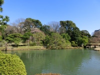 コネリーさんが投稿した六義園 さくら茶屋（東京/駒込）の口コミ詳細 [食べログ] 六義園 さくら茶屋