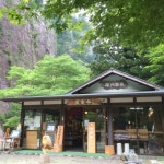 面河茶屋 （オモゴチャヤ） - 久万高原町その他/郷土料理 | 食べログ 面河茶屋 (久万高原町その他/郷土料理)