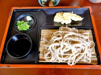 ダイアンサスさんが口コミ投稿したお店一覧 [食べログ]