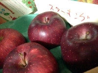 かねやん３さんの「行った(口コミ)」お店一覧 [食べログ]