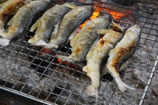 たべはじめました。さんの「行った(口コミ)」お店一覧 [食べログ]