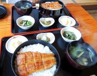 食道者さんが口コミ投稿したお店一覧 [食べログ]