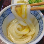 ふじさんさんさんが投稿した伊賀大正庵（愛知/北岡崎）の口コミ詳細 [食べログ] 伊賀大正庵