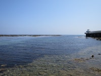 キャノンデールさんの「行った(口コミ)」お店一覧 [食べログ]