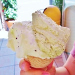 ぽちのかいぬしさんの「行った(口コミ)」お店一覧 [食べログ]
