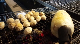 ねもねさんが投稿した炉ばた 三光橋（福岡/天神南）の口コミ詳細 [食べログ] 炉ばた 三光橋