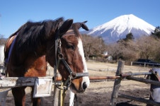 ピンクごはんさんが投稿したかっぱ寿司 吉田店（静岡/吉田町その他）の口コミ詳細 [食べログ] かっぱ寿司 吉田店
