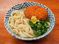 うっし～339さんが投稿したうどん さか枝（香川/栗林公園）の口コミ詳細 [食べログ] うどん さか枝