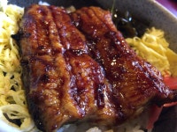 DGDさんの「行った(口コミ)」お店一覧 [食べログ]