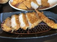 canさんの「行った(口コミ)」お店一覧 [食べログ]