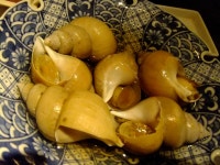 IZAKAYA GNSP （ジーエヌエスピー） - 神泉/居酒屋 | 食べログ IZAKAYA GNSP (神泉/居酒屋)
