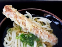 食道者さんが投稿した松下製麺所（香川/栗林公園北口）の口コミ詳細 [食べログ] 松下製麺所