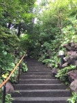Creasyさんが口コミ投稿したお店一覧 [食べログ]