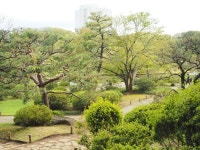 コネリーさんが投稿した六義園 吹上茶屋（東京/駒込）の口コミ詳細 [食べログ] 六義園 吹上茶屋