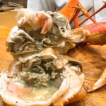 ひとりたべ人さんが投稿した初音鮨（東京/蒲田）の口コミ詳細 [食べログ] 初音鮨