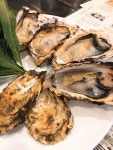 なにわのくろっくすさんの「行った(口コミ)」お店一覧 [食べログ]