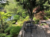 yama山さんが投稿した花カフェ（佐賀/弥生が丘）の口コミ詳細 [食べログ] 花カフェ